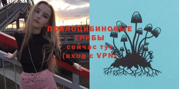 дживик Алексин