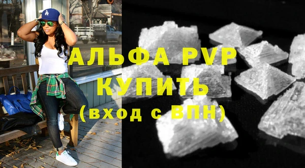 спиды Гусев